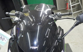 KAWASAKI NINJA 1000 2011