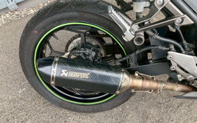 KAWASAKI NINJA 250 EX250L