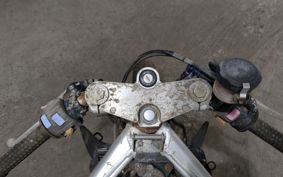 YAMAHA FZR250R-1 3LN