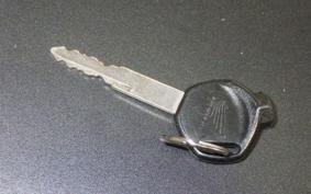 HONDA TACT-4ﾍﾞｰｼｯｸ 2025 AF75