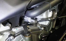 KAWASAKI ZX-4RR 2024 ZX400P