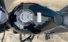 HONDA REBEL 250 S-ED E-CLUTCH MC49