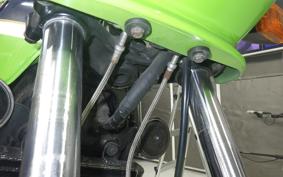 KAWASAKI Z1000 R 1995