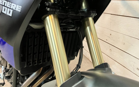 YAMAHA TENERE 700 2021 DM09J