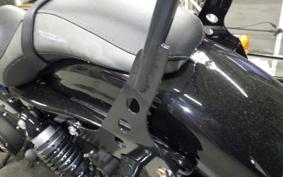 HARLEY XL1200NS 2019