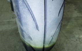 HONDA PCX125 2024 JK05