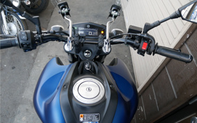 YAMAHA FZS FI RG44