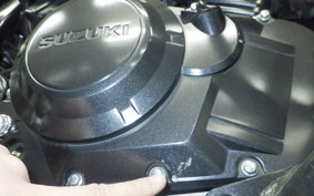 SUZUKI Vｽﾄﾛｰﾑ250 2007