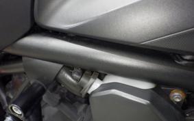 TRIUMPH TRIDENT 660 2021