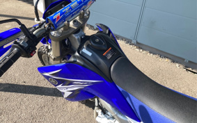 YAMAHA WR250R DG15J