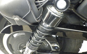 HARLEY XL883N 2015