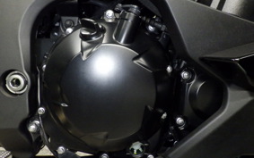 KAWASAKI NINJA 1000SX 2021 ZXT02K