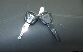 TRIUMPH TIGER 900 RALLY PRO 2026