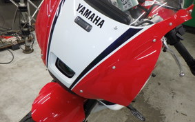 YAMAHA XSR900 GP 2026 RN96J
