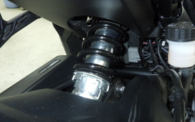 TRIUMPH TRIDENT 660 2025