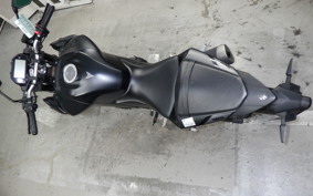 YAMAHA MT-25 A 2009 RG43J