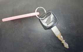 HONDA VTR 250 MC33