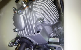 HONDA C50 SUPER CUB 2006 AA09