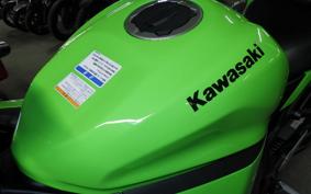 KAWASAKI ZX-4RR 2026 ZX400P