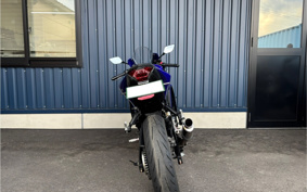 YAMAHA YZF-YZF-R3 ABS 2020 RH13J