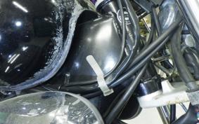 YAMAHA VIRAGO 250 3DM