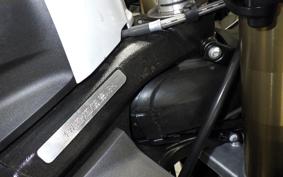 BMW S1000RR M DDC 2025