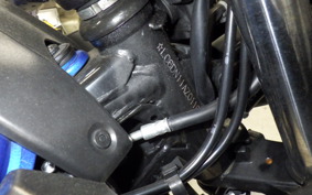 SUZUKI GSX250RA