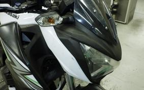 KAWASAKI Z250 2024 ER250C