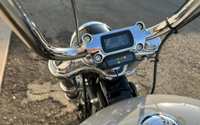 HARLEY HARLEY FXST1340-1450 2024 BVJ