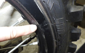 HONDA CRF250 RALLY 2024 ME10