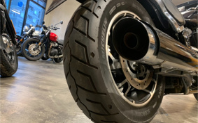 HARLEY FLSB 2019 YMJ