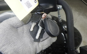 HARLEY FXBB1750 2020