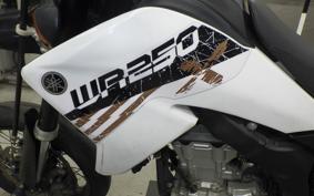 YAMAHA WR250X 2021 DG15J