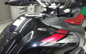 SUZUKI DL650 ( V-Strom 650 ) XTA 2021 C733A