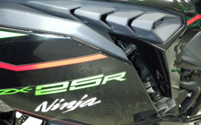 KAWASAKI ZX-25R ZX250E