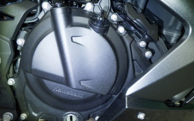 KAWASAKI NINJA 250 2023 EX250Y