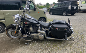 HARLEY FLSTC 2017 BWV