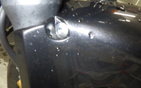 HONDA HORNET 250 MC31