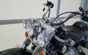 HARLEY FLSTCI 100TH 2003 BWB