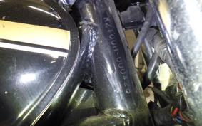 KAWASAKI Z1000 H 2024 KZT00H