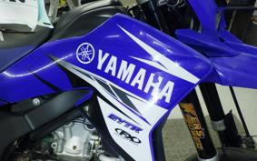 YAMAHA WR250X