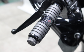 HARLEY FLTRXS 2019 KTP
