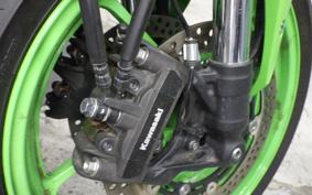 KAWASAKI ZX-4RR 2023 ZX400P