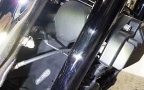 HARLEY FXDL 1580 2015