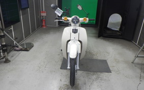 HONDA C110 SUPER CUB 2015 JA44