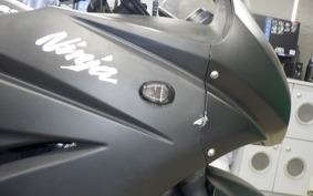 KAWASAKI NINJA 250R 2020 EX250K