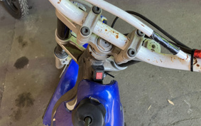 SCORPA SY250