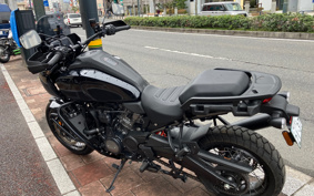 HARLEY  HARLEY  PAN  AMERICA 1250 SPECIAL  2024 ZES