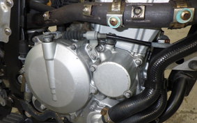 KAWASAKI KLX250D TRACKER X 2026 LX250V