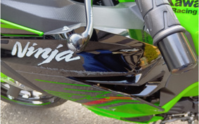 KAWASAKI NINJA 250 KRT ED EX250Y
